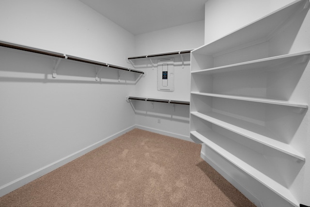 spacious closet featuring carpet and electric panel