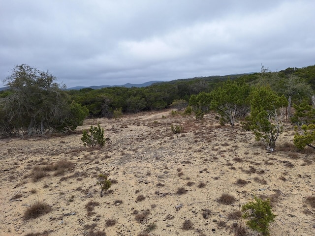 view of local wilderness with a mountain view