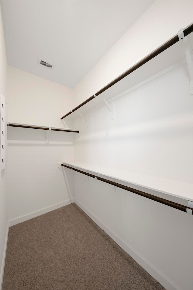 spacious closet featuring carpet floors and visible vents