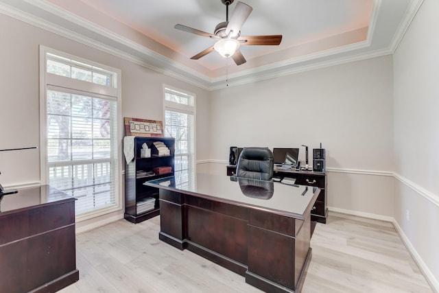 office area with light wood finished floors, ceiling fan, a raised ceiling, and crown molding