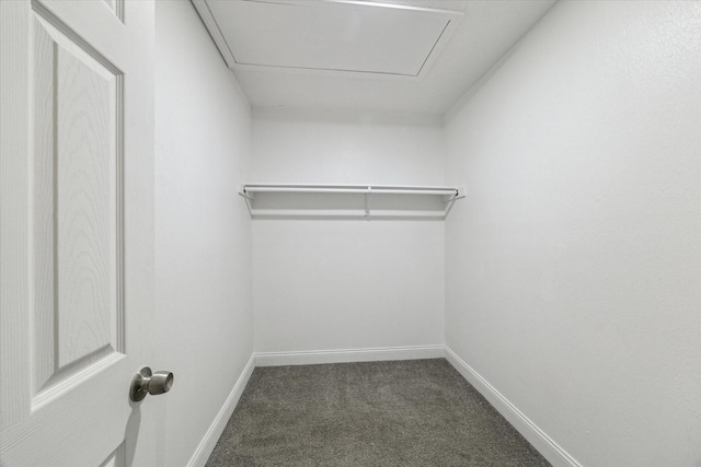 spacious closet featuring carpet floors and attic access