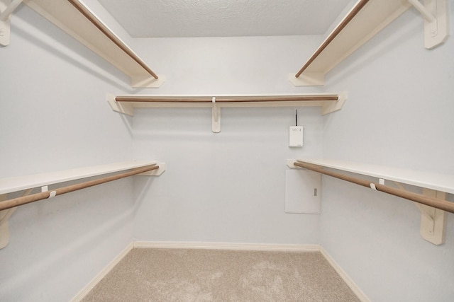 spacious closet featuring carpet floors