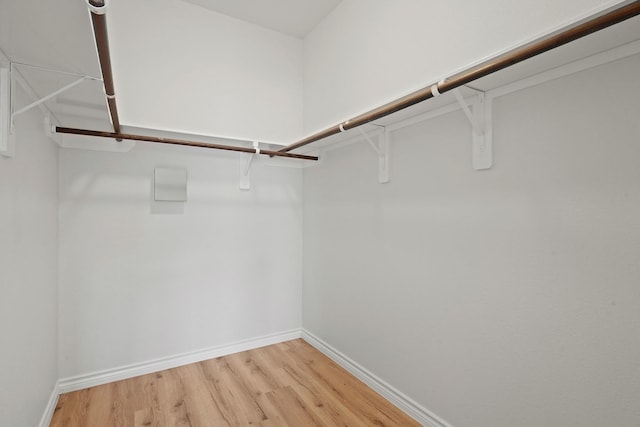 spacious closet with light wood-type flooring