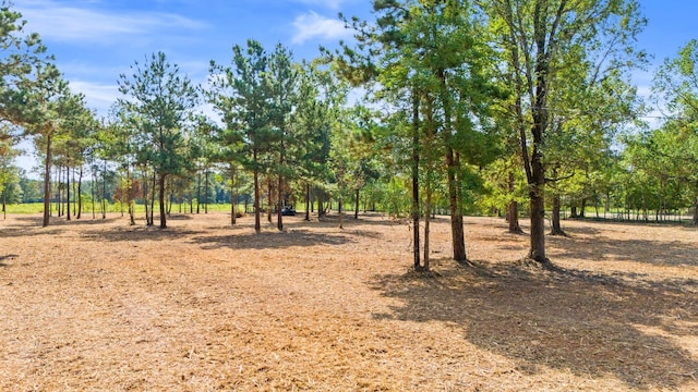 Listing photo 3 for TBD County Road 2075, Hull TX 77564