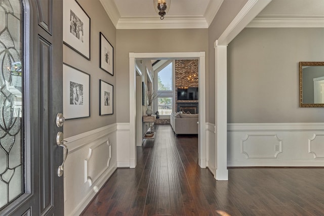 foyer entrance with dark wood-style flooring, wainscoting, and crown molding