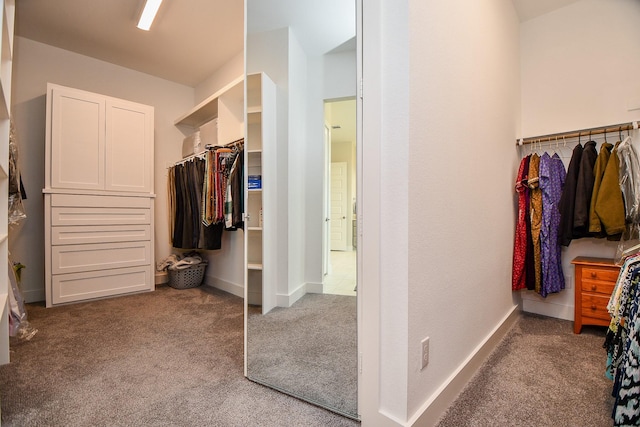 walk in closet with carpet