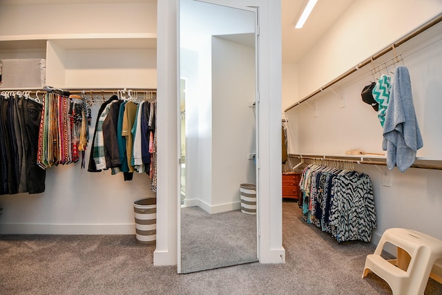 walk in closet featuring carpet flooring