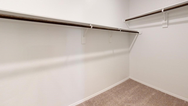 walk in closet featuring light colored carpet