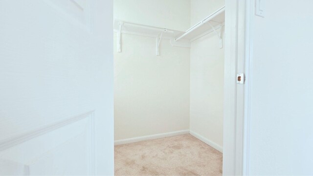 spacious closet with carpet flooring