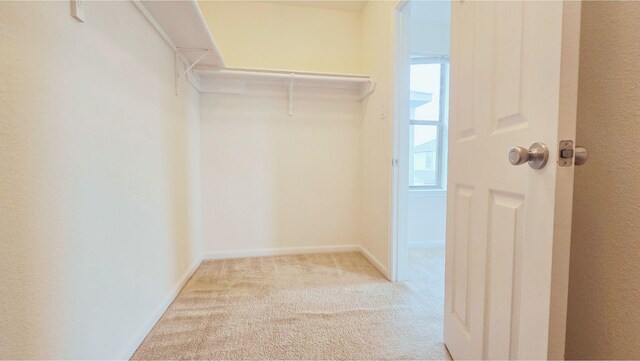 spacious closet with carpet flooring