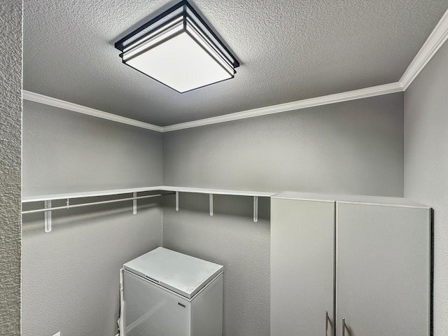 clothes washing area featuring a textured ceiling and crown molding