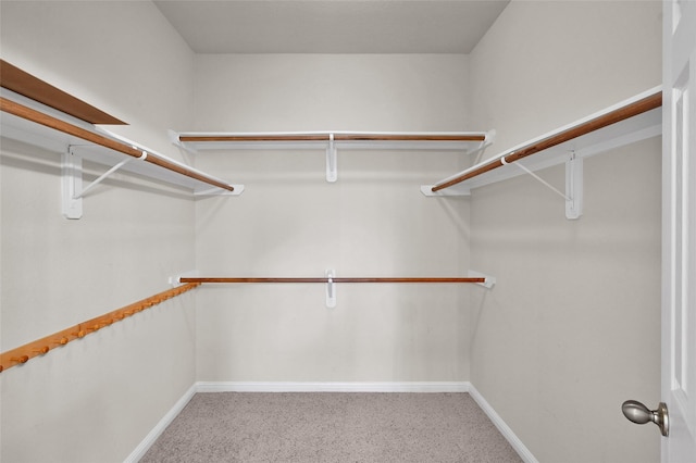 walk in closet with carpet floors