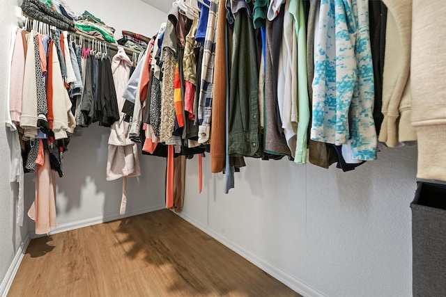 spacious closet featuring wood finished floors