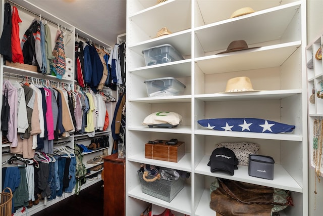 view of spacious closet