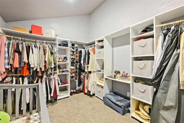 spacious closet featuring carpet floors