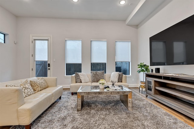 living room featuring baseboards, wood finished floors, and recessed lighting