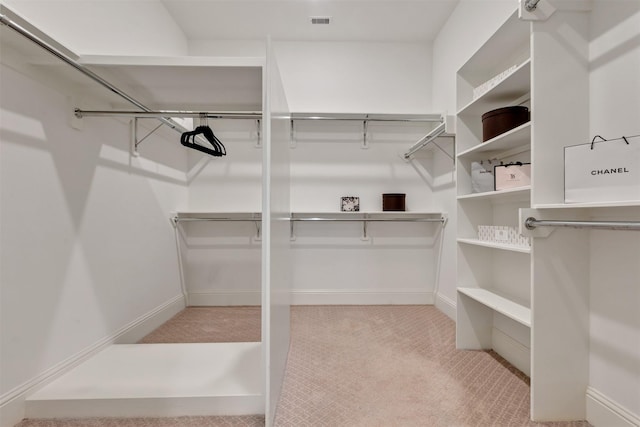 walk in closet featuring carpet flooring