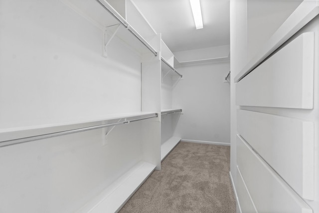 spacious closet with carpet