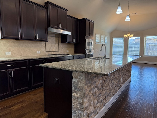 kitchen featuring appliances with stainless steel finishes, dark wood-type flooring, a sink, and under cabinet range hood