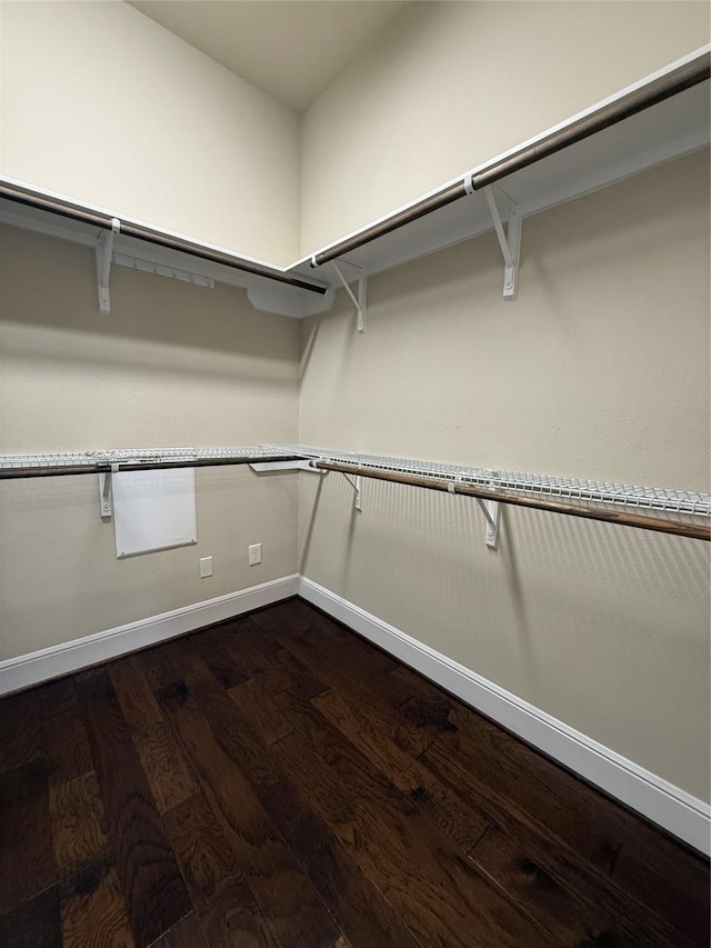 walk in closet featuring dark wood-style flooring