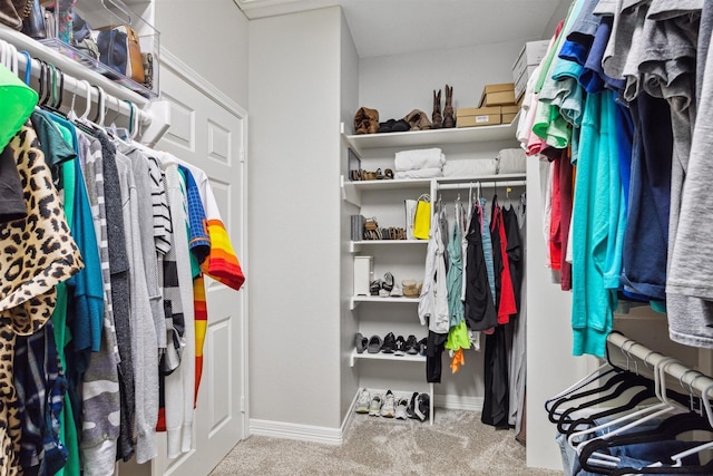 spacious closet featuring carpet flooring