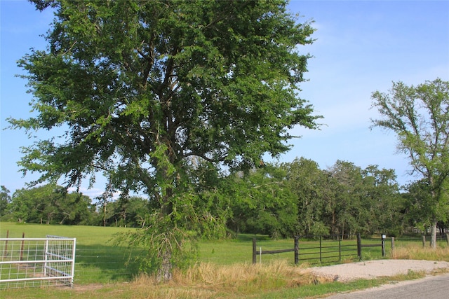 27038 Muckelroy Rd, Hempstead, TX 77445