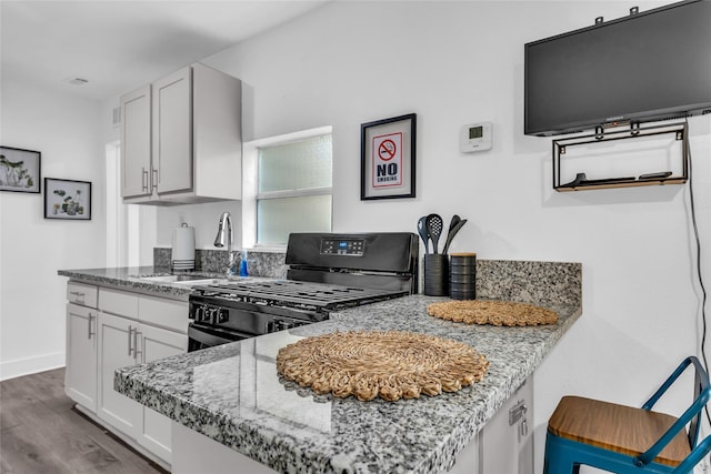 kitchen featuring black gas range, baseboards, light stone counters, dark wood-style flooring, and a sink