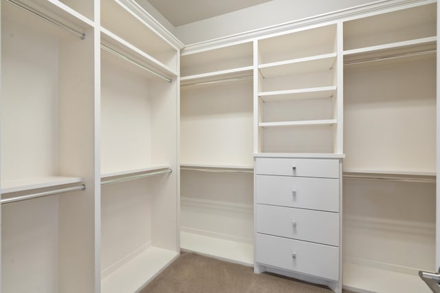 spacious closet featuring light colored carpet