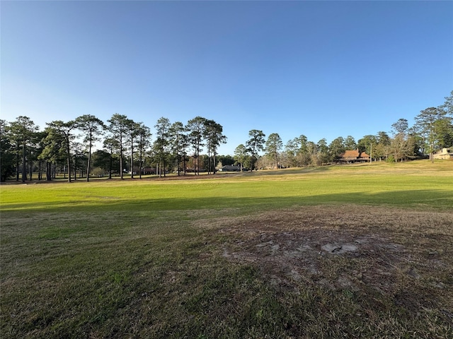 view of home's community with a lawn