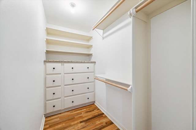 spacious closet featuring light wood finished floors