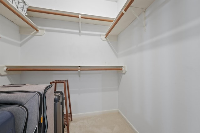 spacious closet featuring carpet flooring