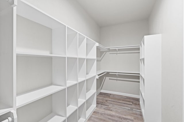 walk in closet featuring wood finished floors