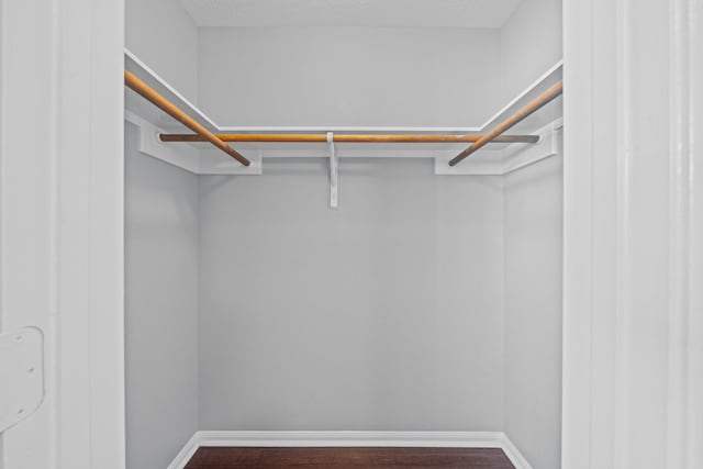 walk in closet with dark wood-style flooring