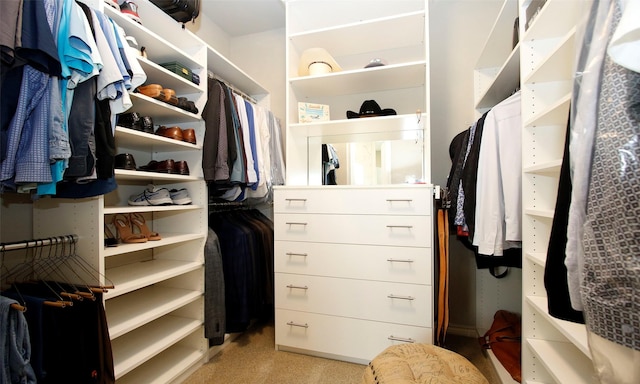 view of walk in closet