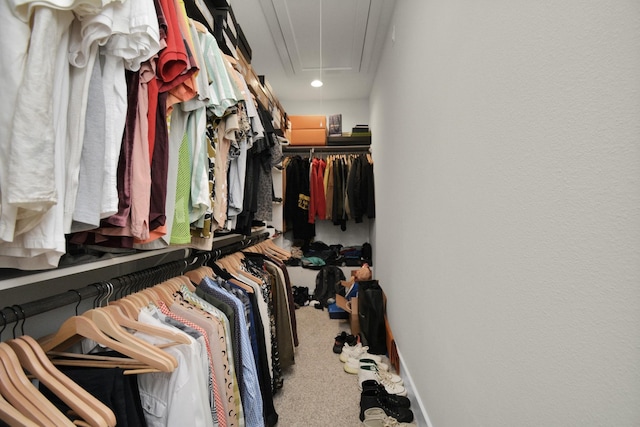 spacious closet with carpet and attic access