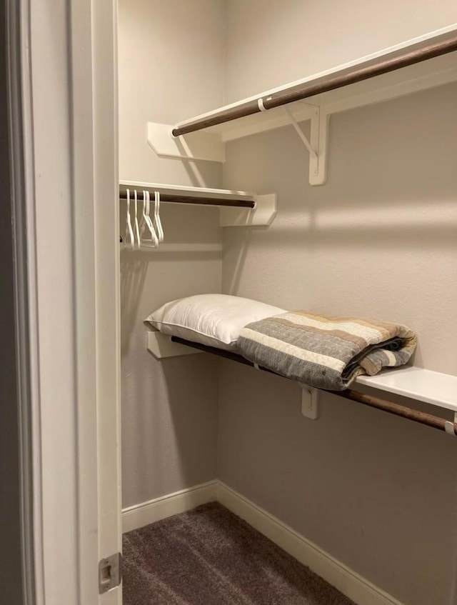 spacious closet featuring dark colored carpet