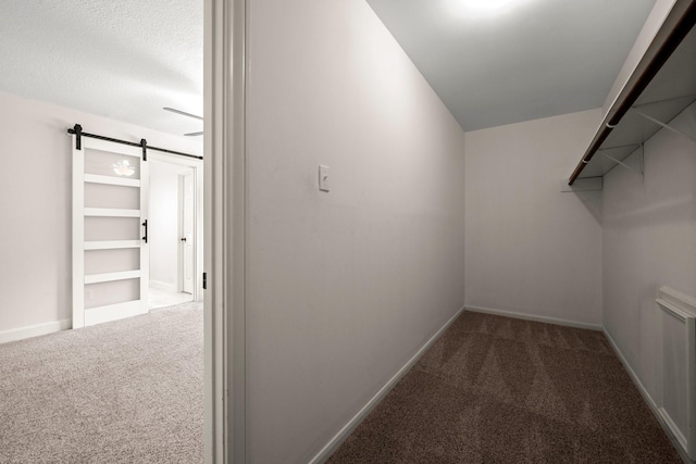 walk in closet featuring carpet flooring and a barn door