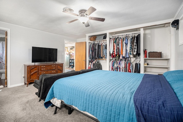 carpeted bedroom with multiple closets, crown molding, baseboards, and ceiling fan