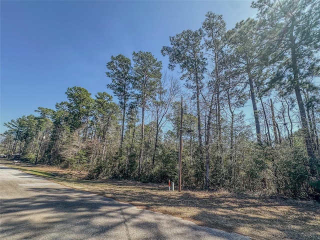 TBD N Canyon Dr, Onalaska TX, 77360 land for sale