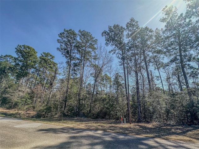 Listing photo 3 for TBD N Canyon Dr, Onalaska TX 77360