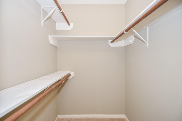 spacious closet with carpet flooring