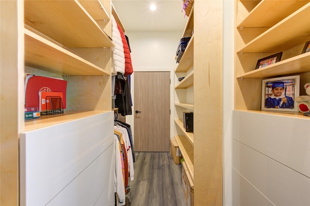 spacious closet featuring dark wood-type flooring