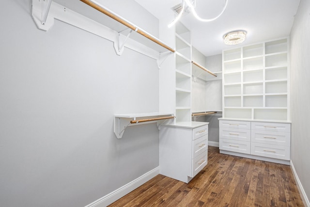 spacious closet featuring dark wood finished floors