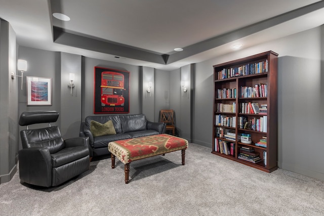 interior space featuring carpet, baseboards, and a raised ceiling