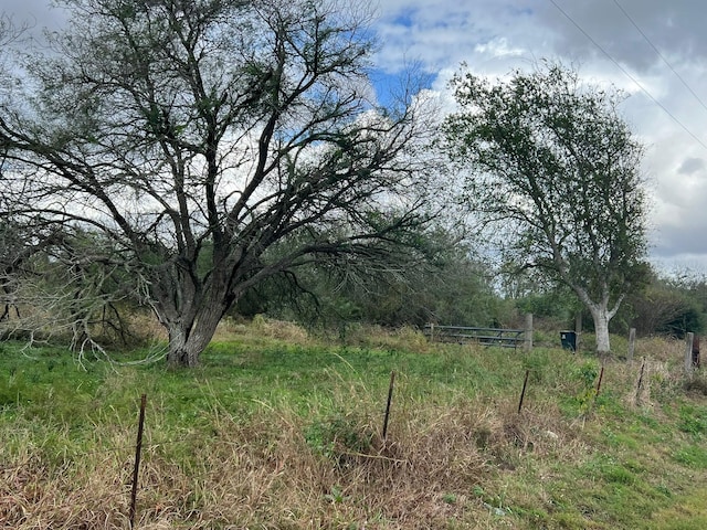 38440 Fisk Ln, Pattison, TX 77423 - view of undeveloped land
