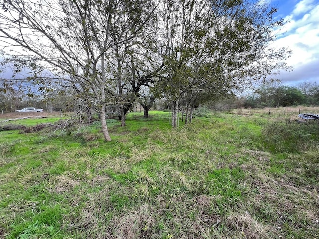 38440 Fisk Ln, Pattison, TX 77423 - view of yard