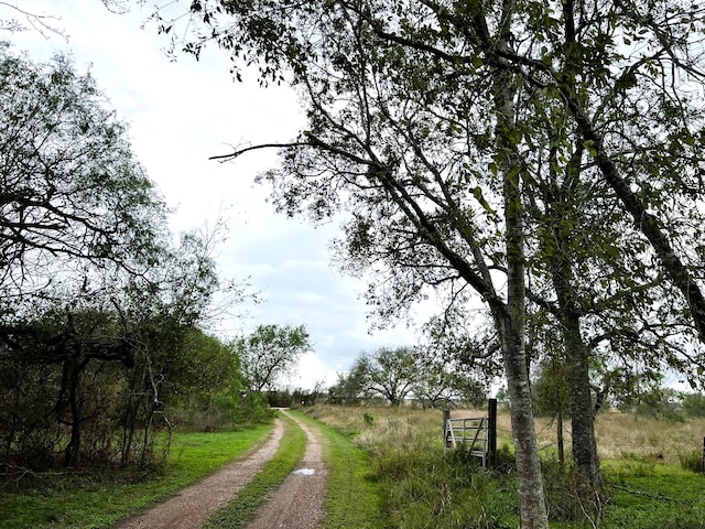 38440 Fisk Ln, Pattison, TX 77423 - view of dirt / gravel road