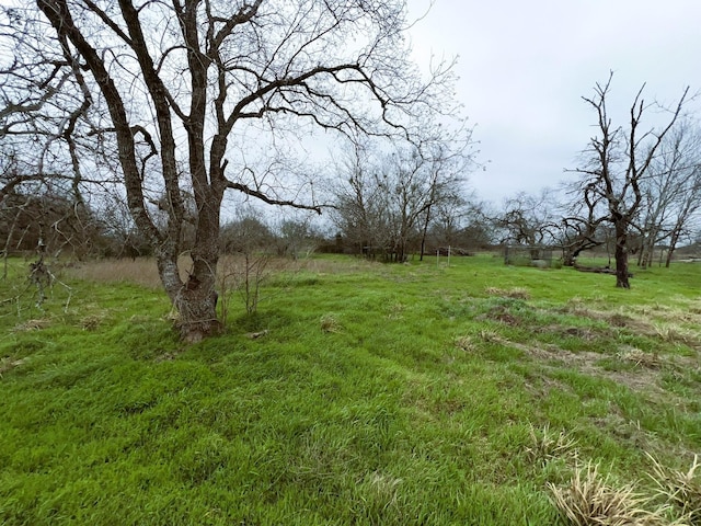 38440 Fisk Ln, Pattison, TX 77423 - view of yard