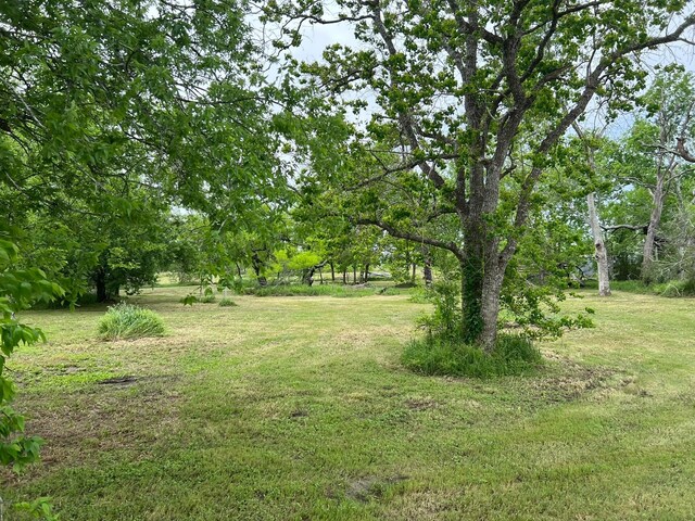 38440 Fisk Ln, Pattison, TX 77423 - view of green lawn