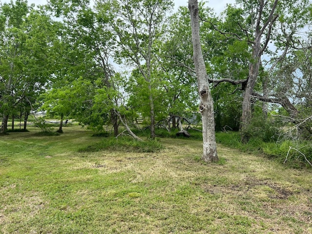 38440 Fisk Ln, Pattison, TX 77423 - view of green lawn